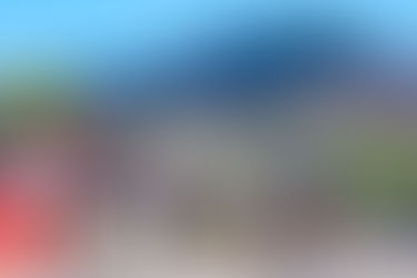 Cuando todos quieren libertad, pero nadie pone: el experimento Grafton