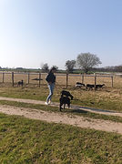 Marine Training Brebis.jpg