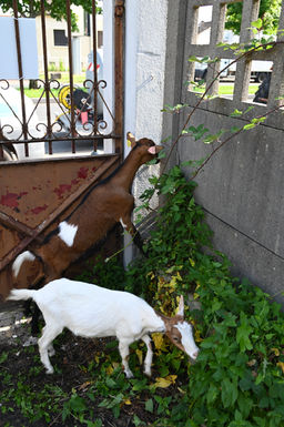 Val d'Oise
IDF
Ile de France