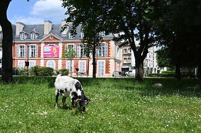 Ecopâturâge et lien social Ile de France et Oise