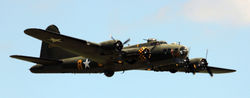 sally b
