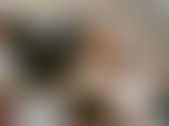 Formatore docenti online con Unipegaso Roma