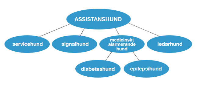 assistanshundar_skiss8_ny_mindre1.jpg