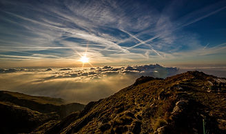 Tennis Balls and Racket