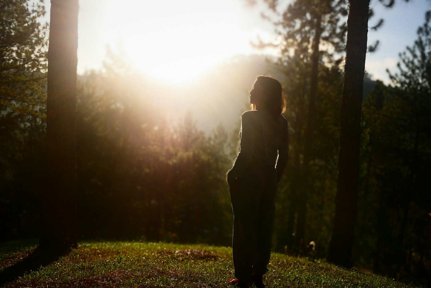 Real editorial photograph of woman in forest at sunset. Cover for When the Mind Wanders, What Happens Next?