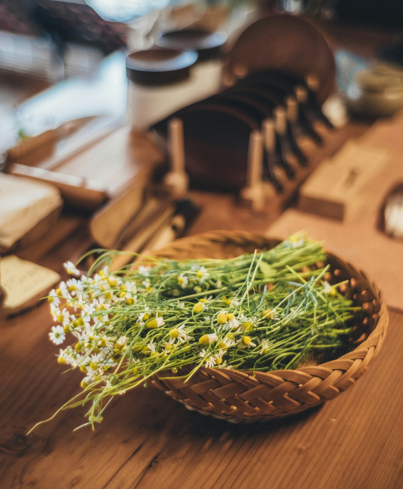 Real photograph of chamomile flowers arranged in woven basket. Cover for Chamomile at Bedtime: Build a Ritual, Not a Miracle Cure