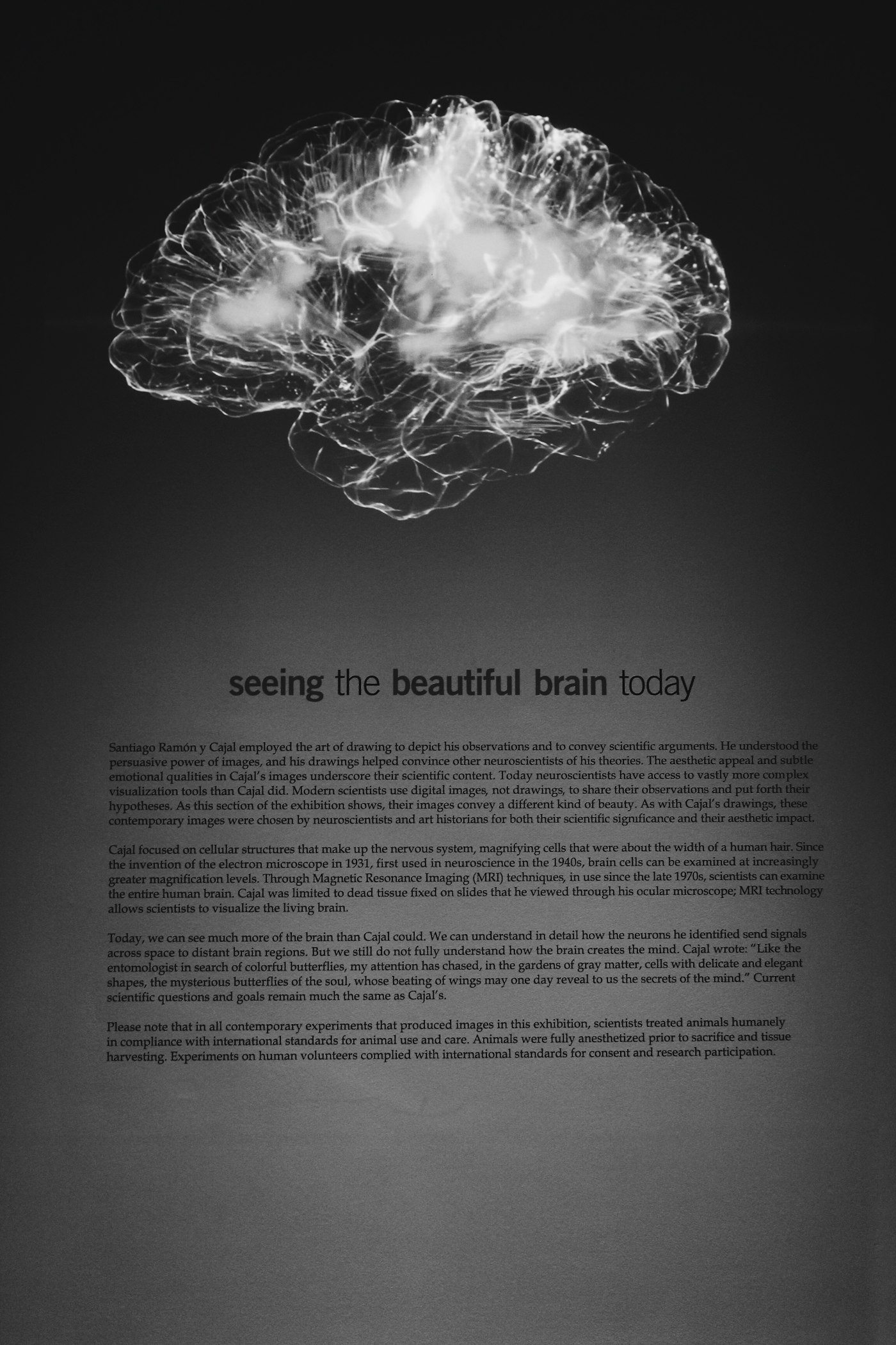 Documentary photograph: Scientific brain art. Cover for An Attention Diet for the Digital Age