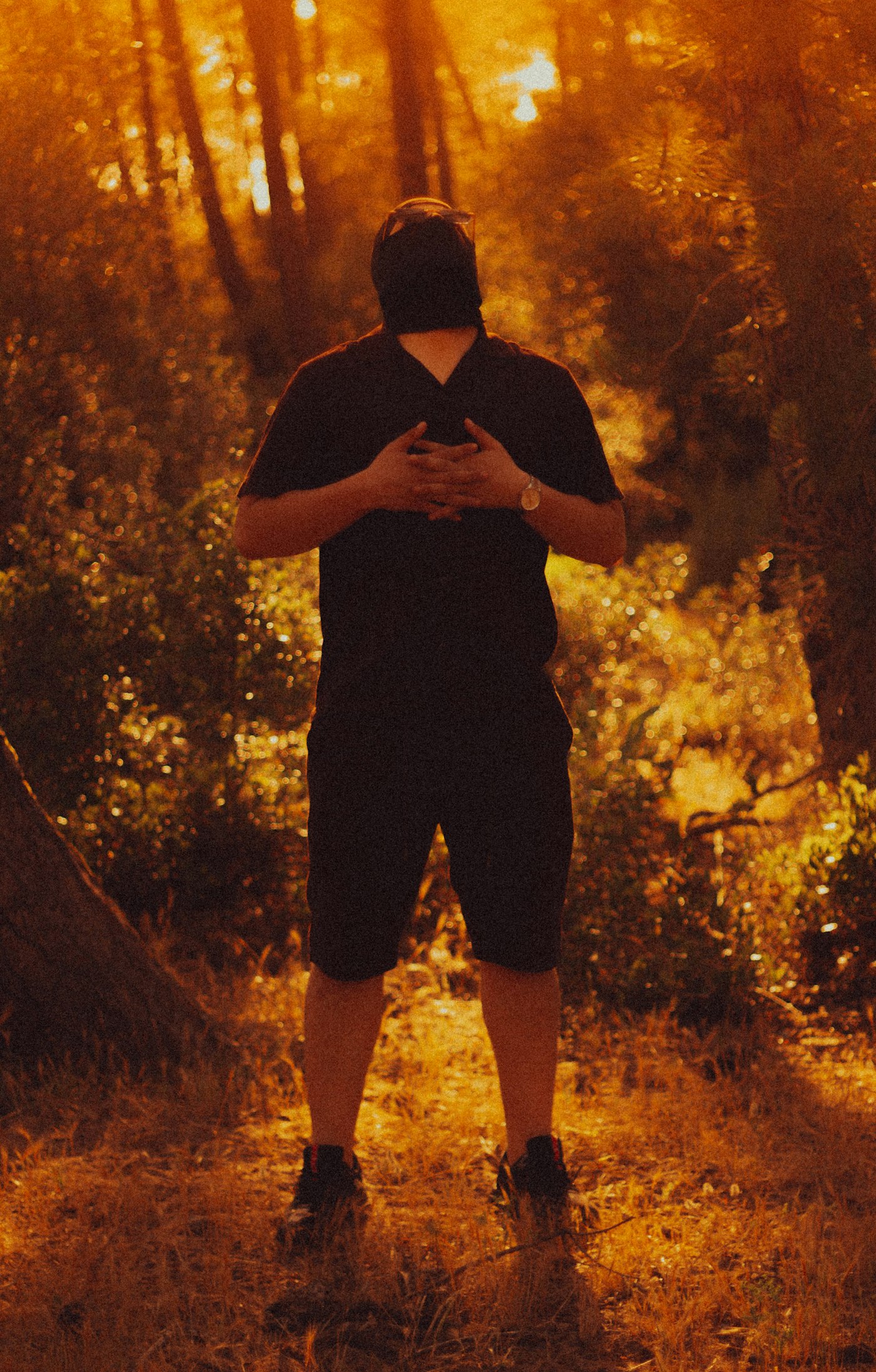 Real editorial photograph of figure contemplating in warm forest sunlight. Cover for Making Space for Wonder Without Believing Everything