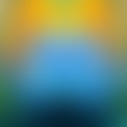 Blue Lotus The Ancient Flower of Dreaming and Awakening