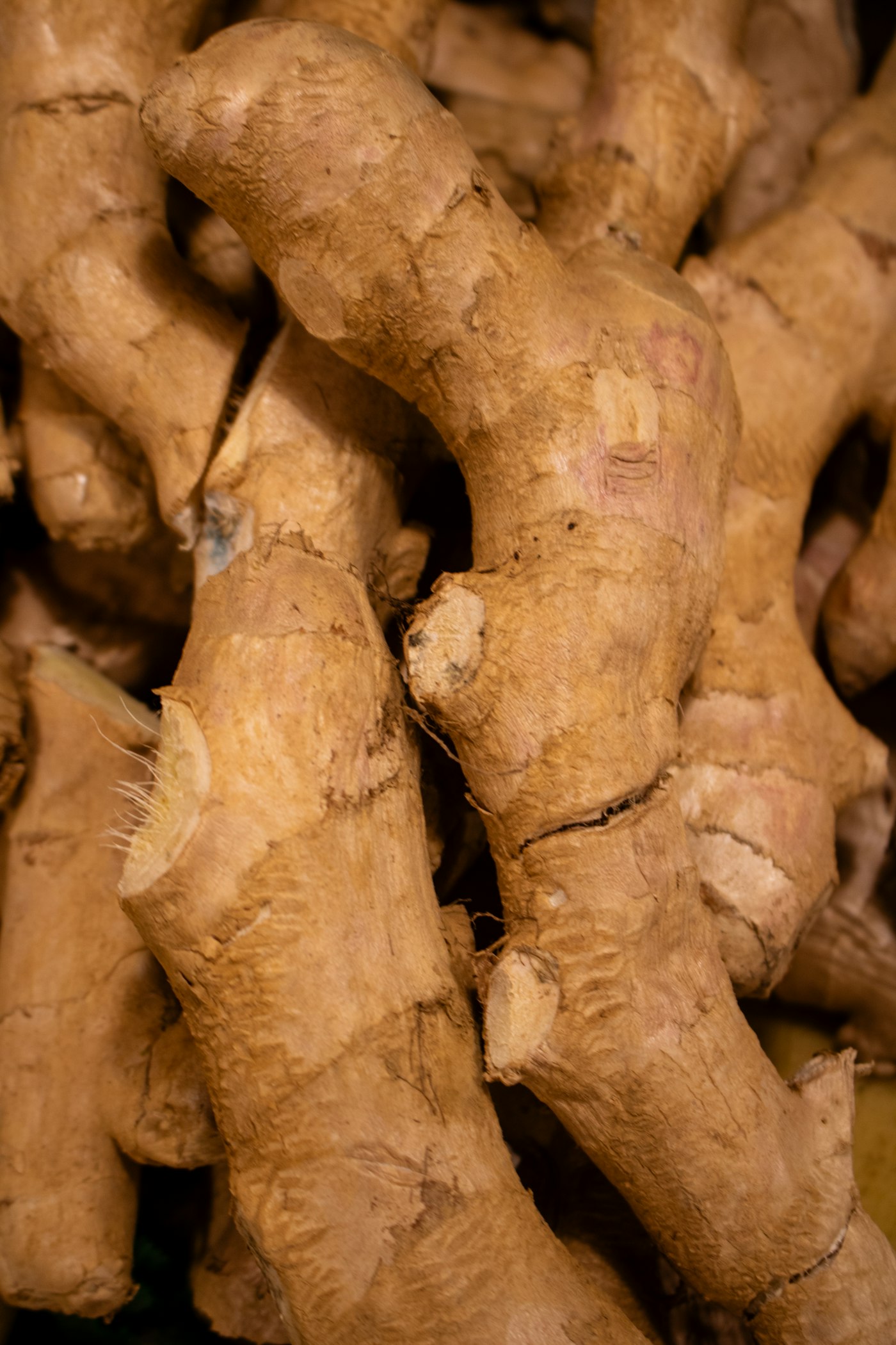 Documentary photograph: Fresh ginger. Cover for Ginger: The Rhizome That Connects Kitchen Skill and Medical Research