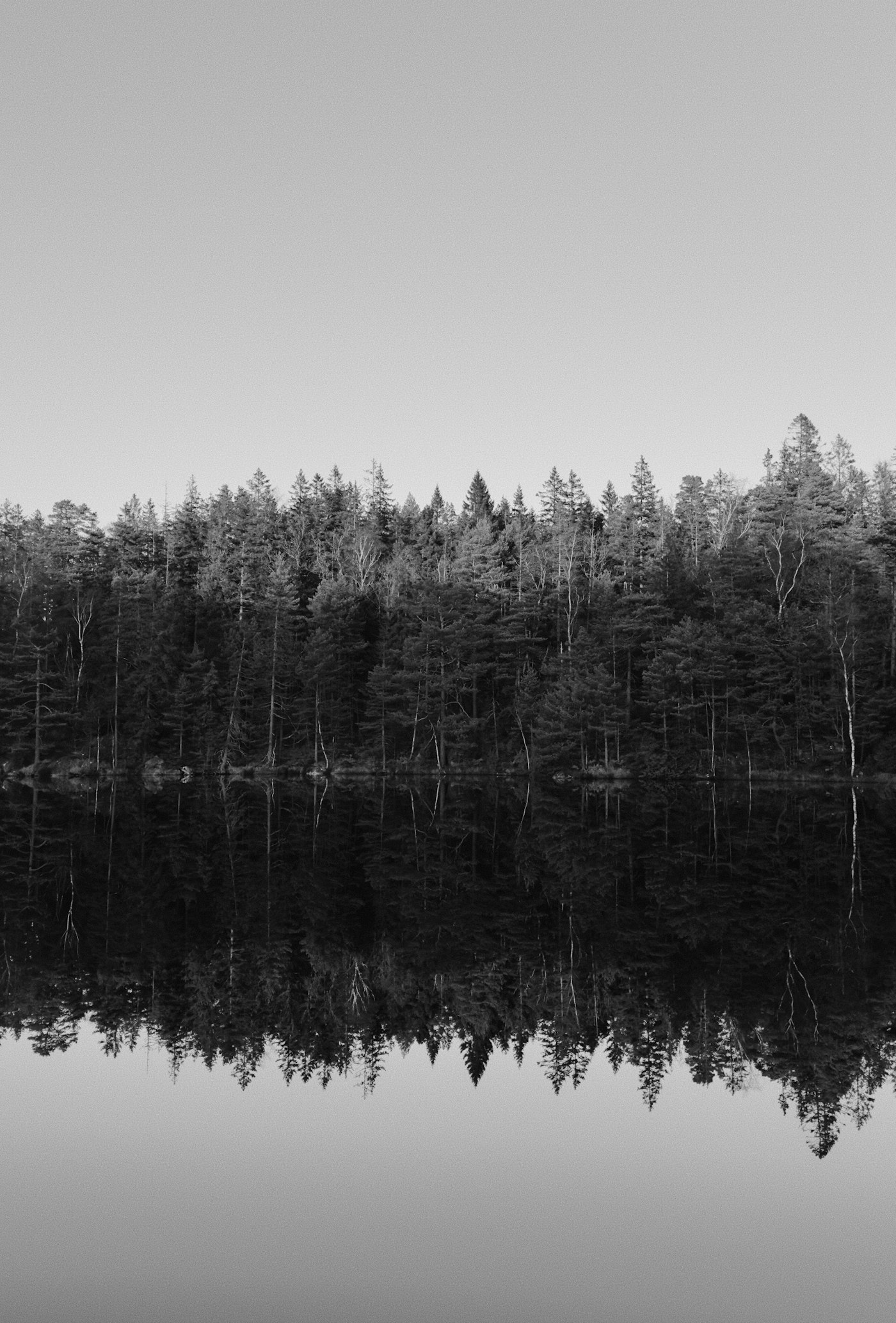 Real editorial photograph of reflective lake in forest. Cover for The Five-Sense Field Guide to Being Here