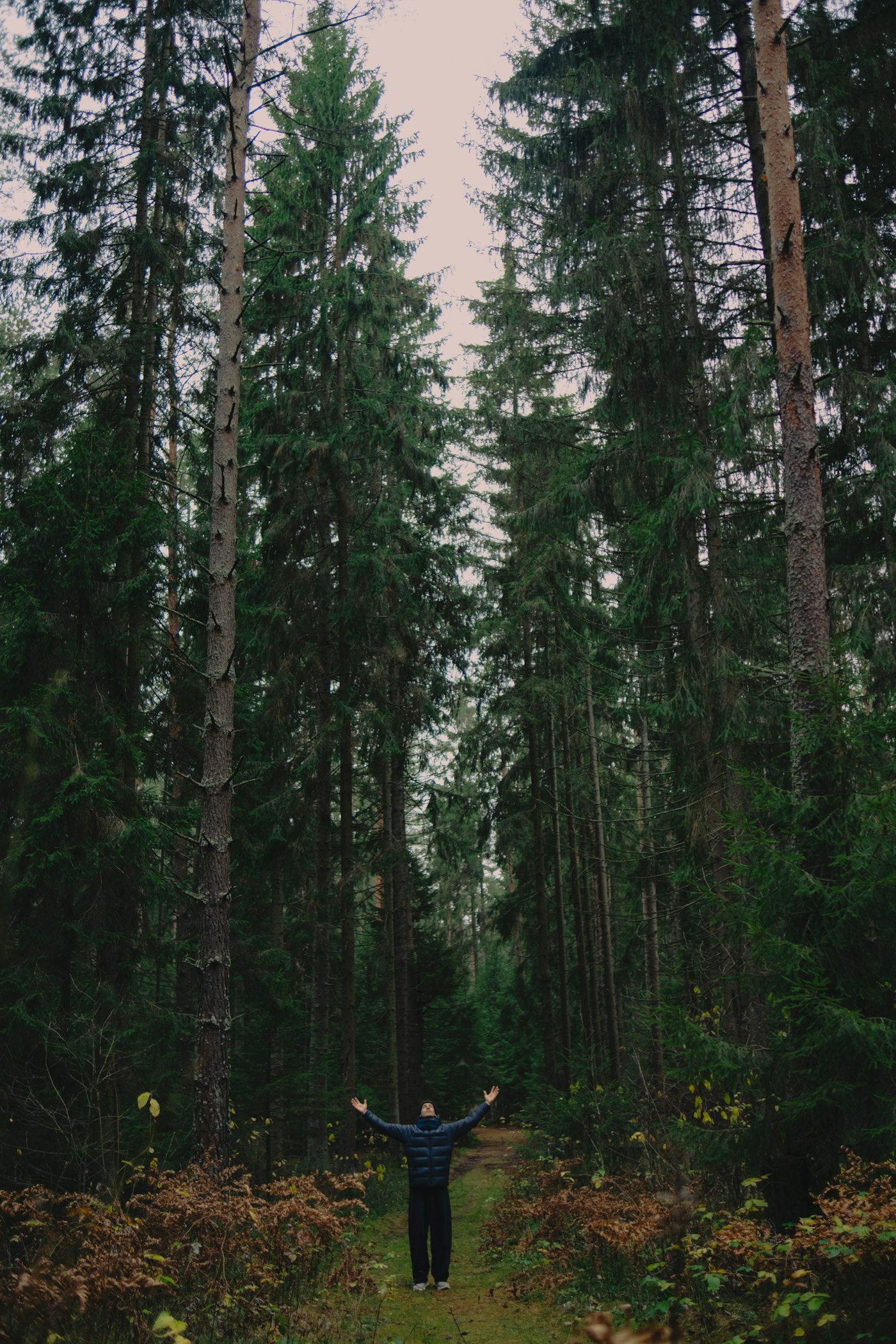 Real editorial photograph of person stretching arms in quiet forest. Cover for Solitude Without Isolation