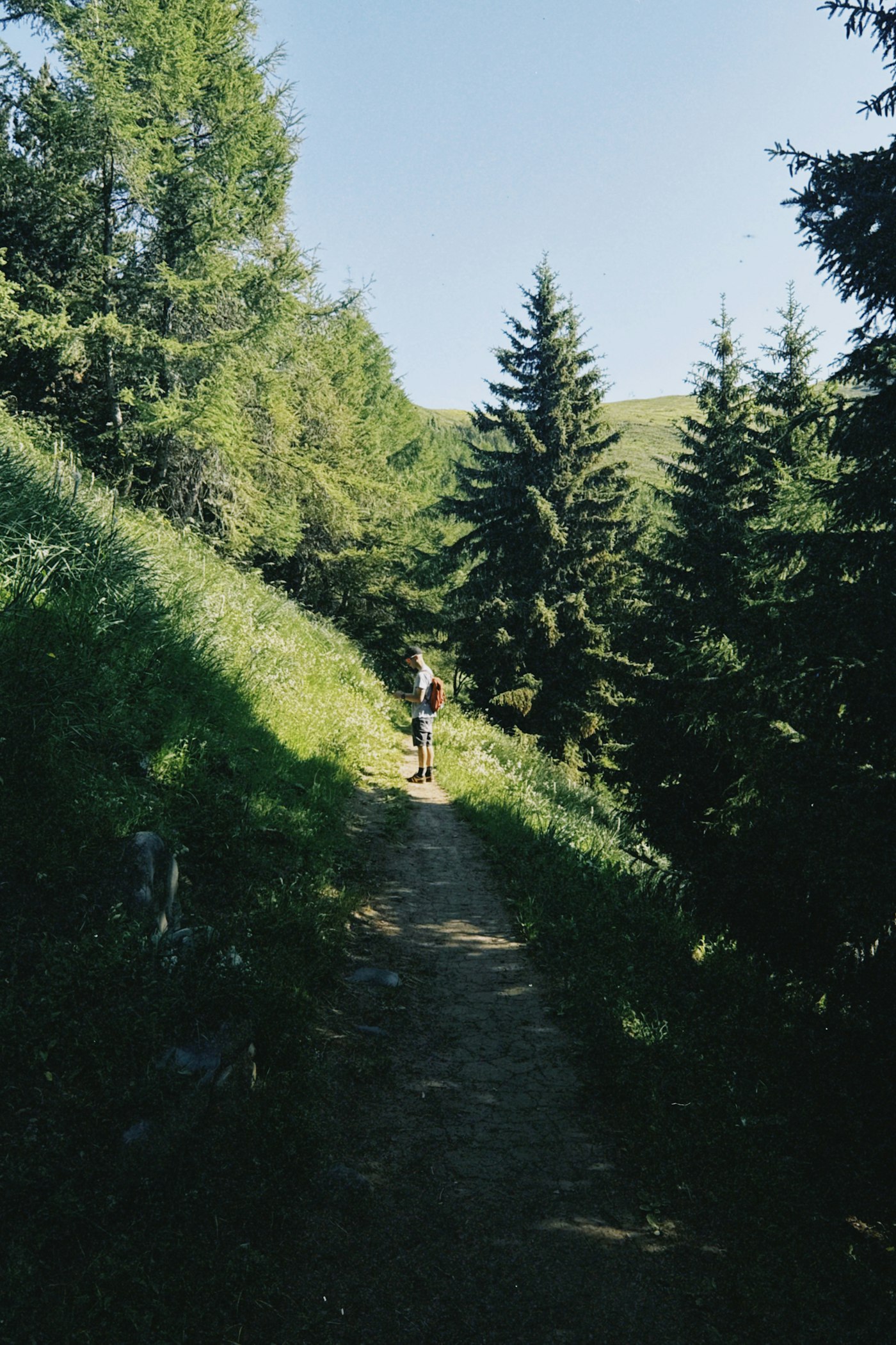 Real editorial photograph of hiker on a forest trail in afternoon light. Cover for The Art of the Awe Walk