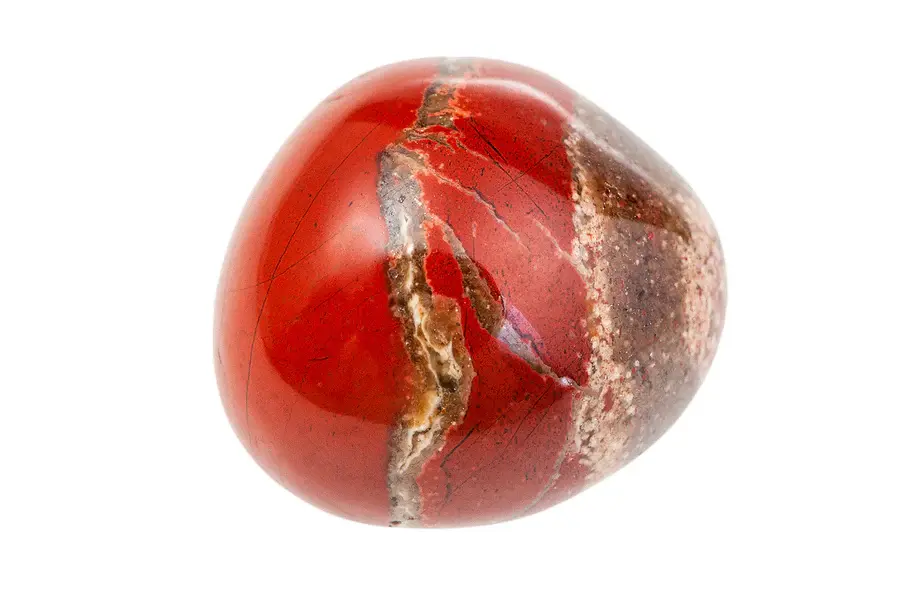 ree