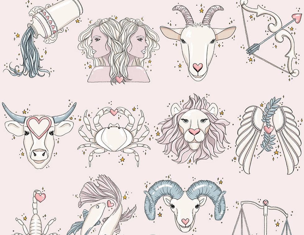 Beginners Guide to Zodiac Signs