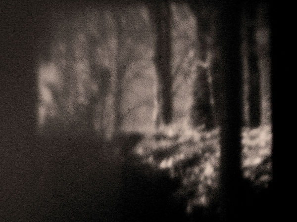 Landscape (FH) LR.jpg