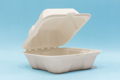 
Clam Shell 6x6 Biodegradable Bagasse Container