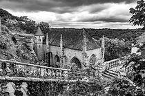 IMG_6258.jpg