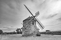 IMG_8250-2.jpg