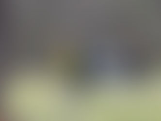 테네시주 스쿨버스 충돌 사고..학생 2명 숨져