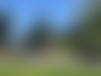 UCLA 유학생 12명도 비자 취소..불안감 확산