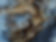 Dry%20Tree%20Trunk_edited.jpg
