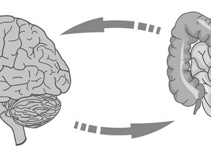 The Gut—Brain Axis: AMILI Probiotics