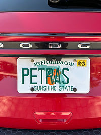 Vanity Plates Tag Plate Personal USA.jpg