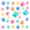 Colorful Cat paw prints on white .jpg