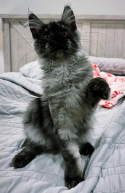 9b8abe8d-fc6e-44df-b506-f69d2b5d2f02