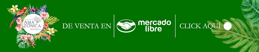 Captura de pantalla 2024-11-25 a la(s) 13.50.24.png