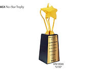 No-1-Star-Trophy.jpg