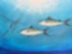 Sun on The Shoal