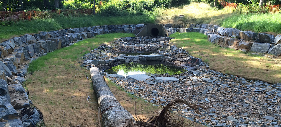 Tributary 1 - STA 11+00 - Upstream - Ste
