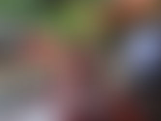 天気いいなあ。