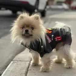 The jacket is great quality