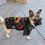 Thumbnail: Luxury Faux Leather Rock Dog Jacket