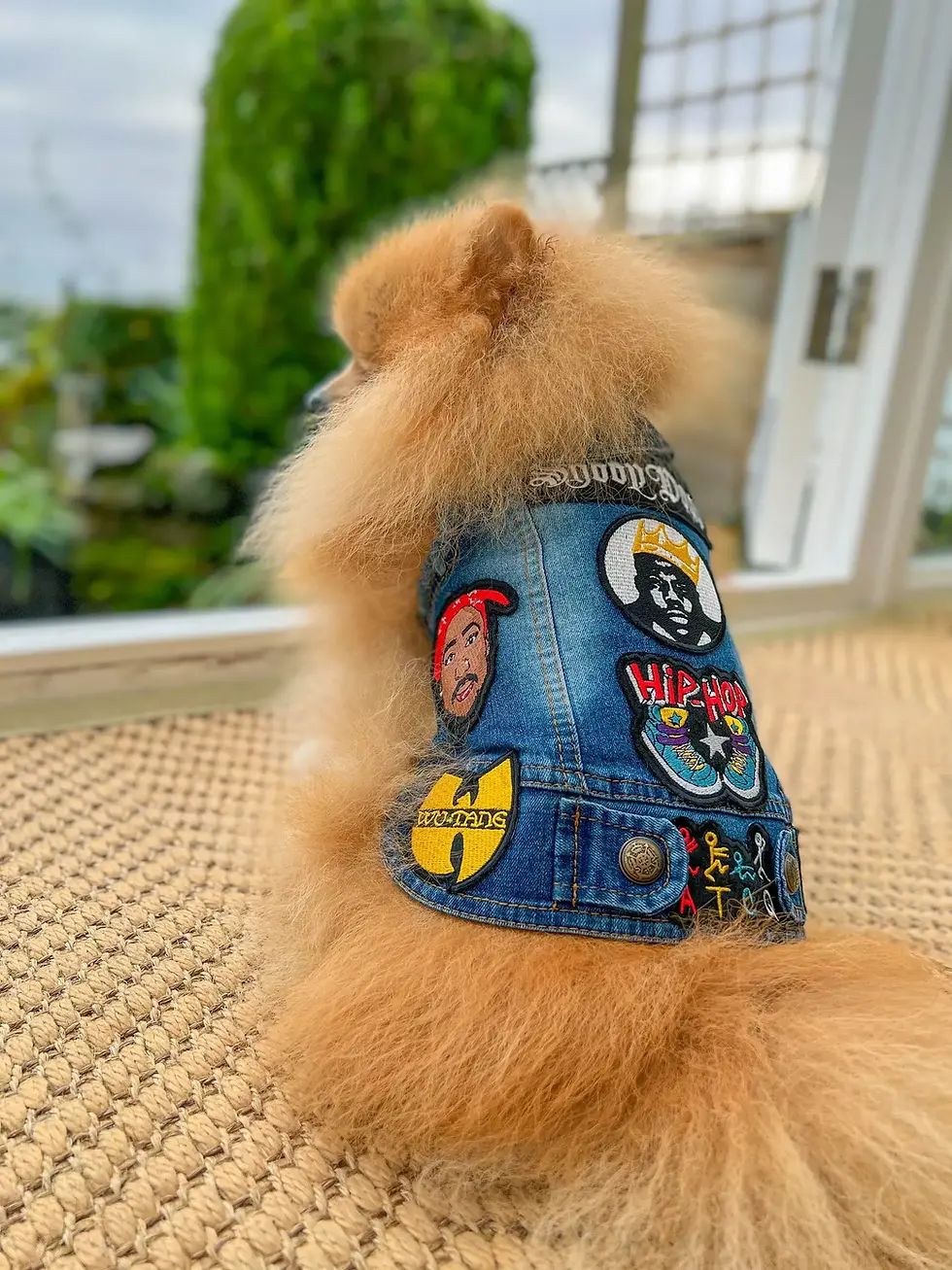 Thumbnail: Stylish Hip Hop Denim Dog Jacket for Small Breed Dogs -S,M,L,XL,XXL