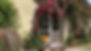 8f951c_409e17e2c7f949e980eaf33f4a188c17_mv2_d_4032_3024_s_4_2_edited.jpg