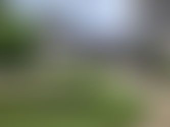 Pons' castle of riddles