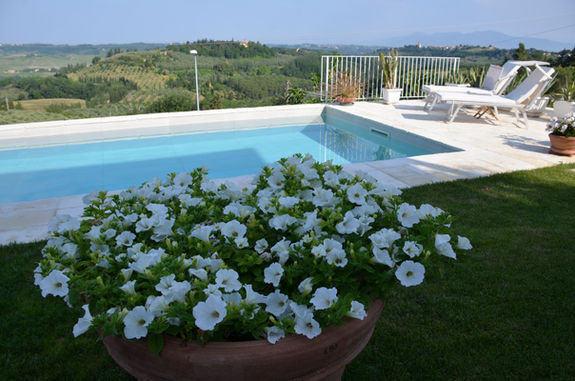 Giardino con piscina- Garden with swimming pool