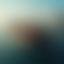 Understanding the Global Shipping Process