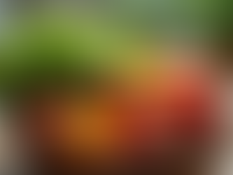 The Importance of Herbal Foods for a Healthy Lifestyle