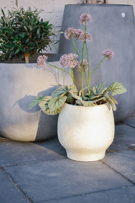 Rivin - silkkikasvit-vaaleissa_ruukuissa_lasitetulla_terasilla