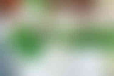 Rivin-sisustus-yhdistele-kaupasta ostettuja-tulppaaneja-heiniin-oksiin-ja lehtiin