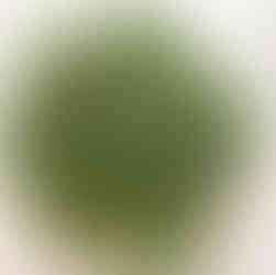 Rivin-Sisustus-hurmaavat-heinät