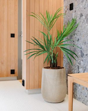 Rivin_Majvikin_saunatilat_koristeltu_kestokasveilla