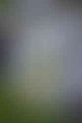 Rivin - Lisärakennuksen isot ikkunat