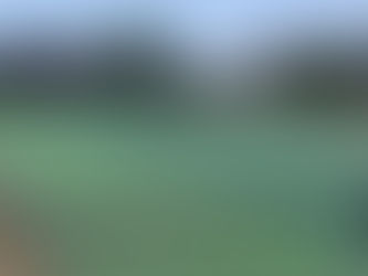 令和7年度 第37回野田市民テニス大会【団体戦】結果