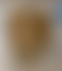 Le Bois Courbé : l’Art de Donner du Mouvement à l’Espace